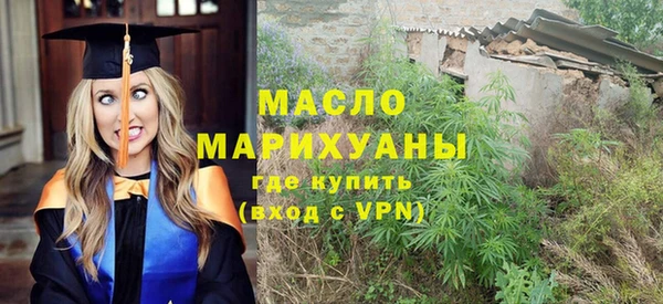 сатива Коряжма