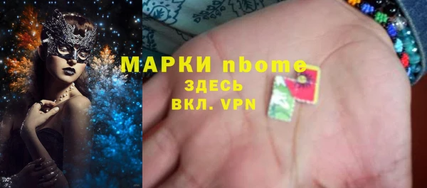сатива Коряжма