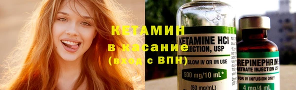 сатива Коряжма