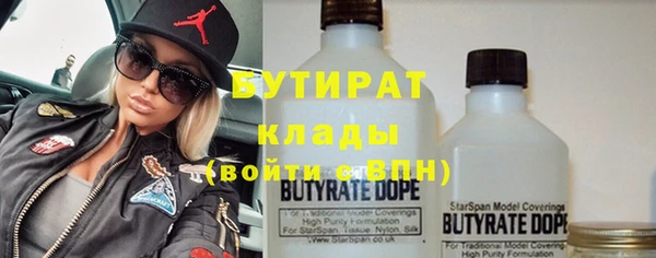 сатива Коряжма