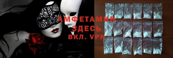 сатива Коряжма