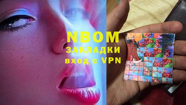 сатива Коряжма