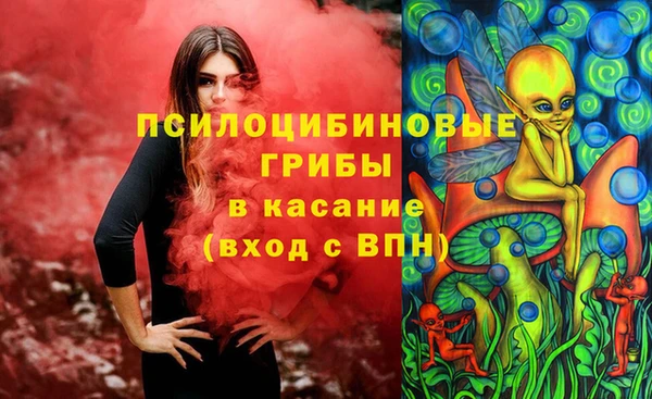бошки Костерёво