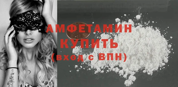 сатива Коряжма