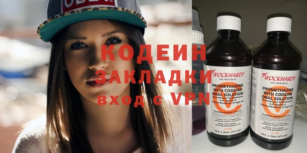 сатива Коряжма