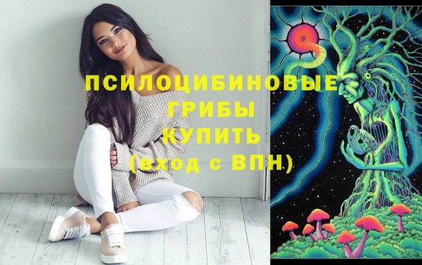 сатива Коряжма