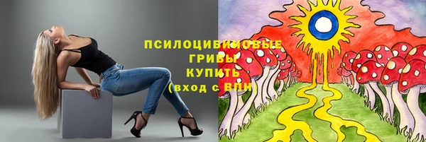 меф Корсаков
