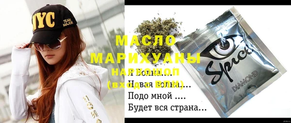 сатива Коряжма