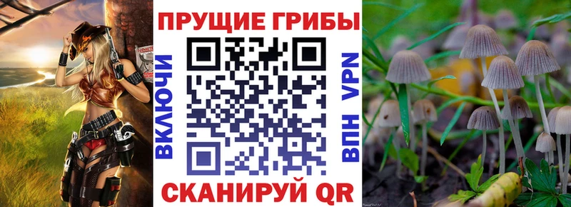 Галлюциногенные грибы мицелий  Купить закладки  Мариинский Посад 
